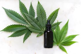 MECHANISMS OF ACTION OF CANNABIDIOL (CBD)